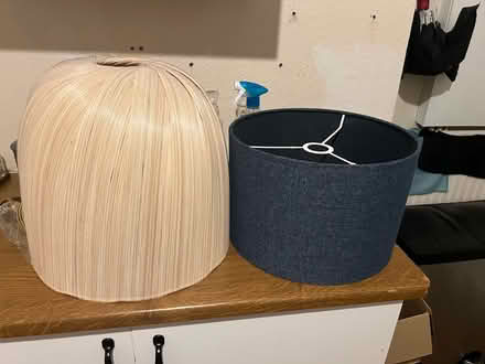 Photo of free Lampshades (N10 2NL) #1