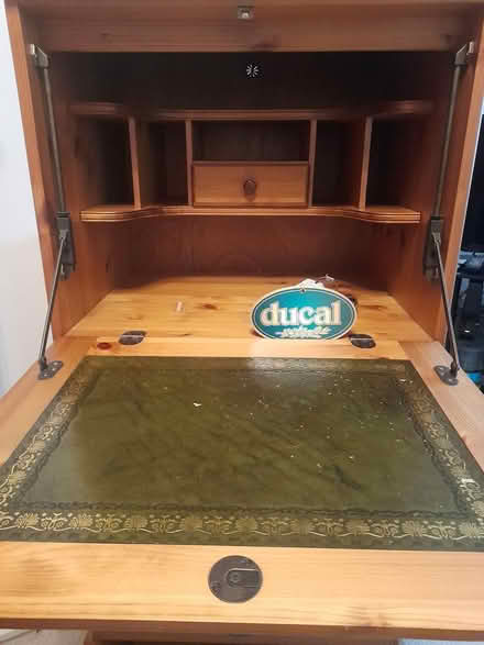 Photo of free pine by Ducal (Wickford) #1