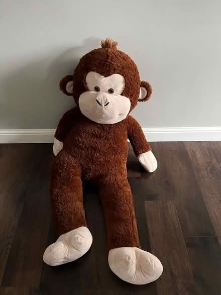 Photo of free Big teddy (monkey) (Shippon OX14) #1