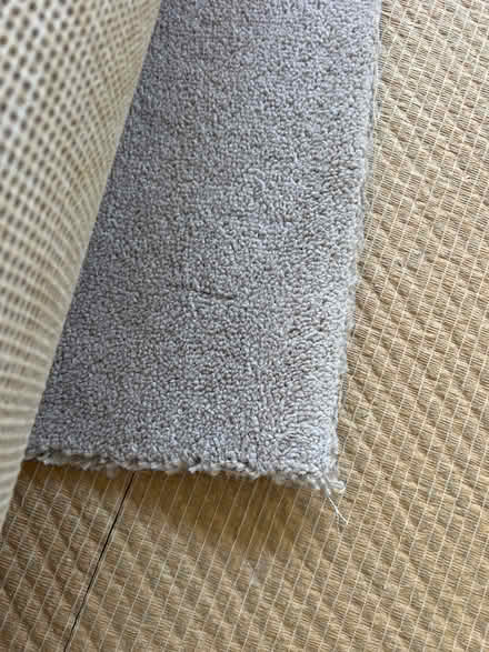 Photo of free Beige carpet (Burridge SO31) #1