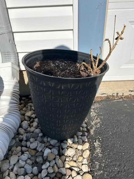 Photo of free Flower pots (Round Lake Beach) #1