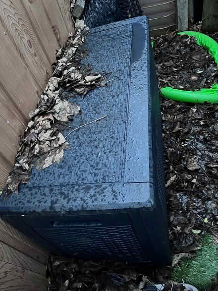 Photo of free Garden storage (Palmerston road, E17) #1