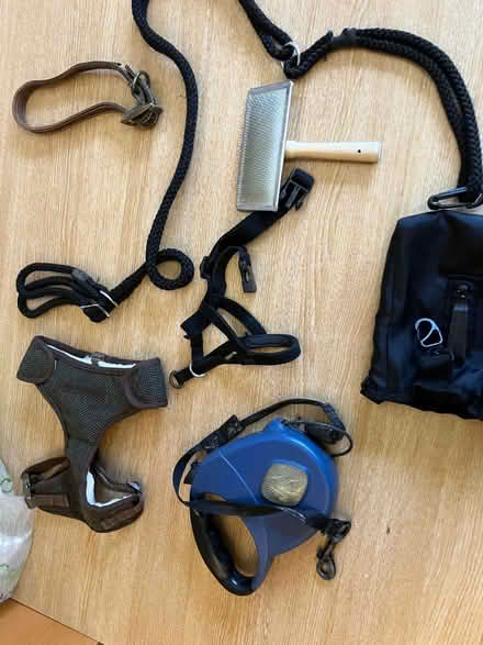 Photo of free Dog items (Micklefield HP13) #1