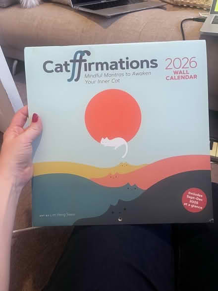 Photo of free Unused 2026 Catffirmations Calendar (Langney BN23) #1