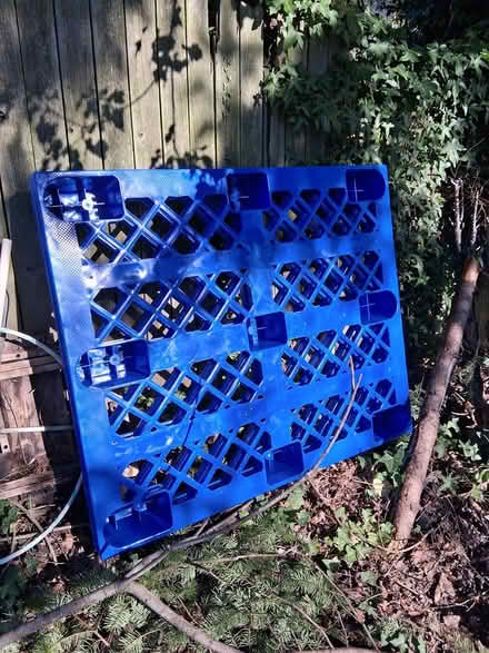 Photo of free Plastic pallets (Interbay/Queen Anne) #1