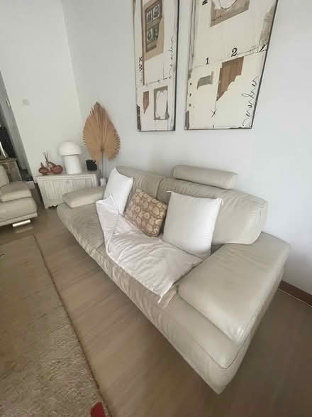 Photo of free Italian Leather sofa Natuzzi (Bukit Timah - holland village) #2