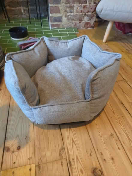 Photo of free Cat bed (BN1 Brighton) #1
