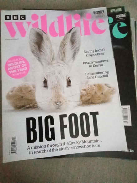 Photo of free BBC Wildlife magazines (Drum Brae EH4) #1