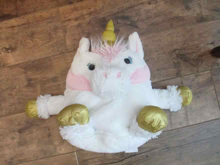 Photo of free Unicorn pyjama case (broken zip) (Cheylesmore CV3) #1