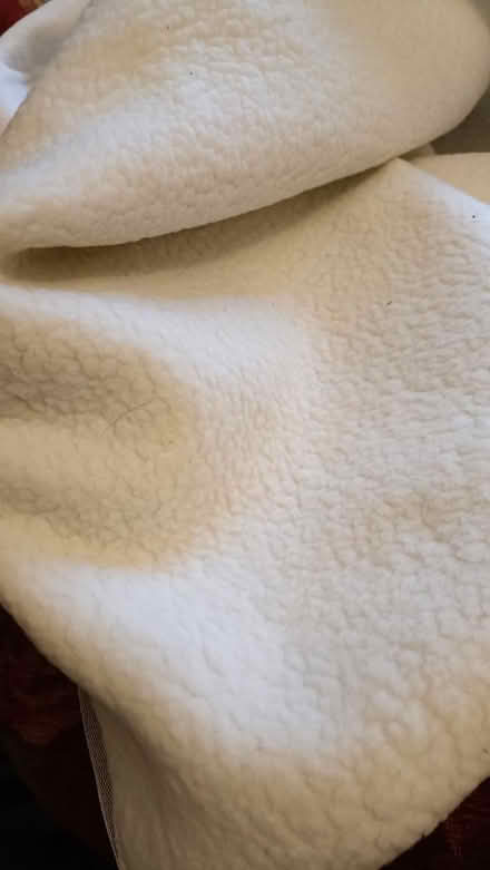 Photo of free Double electric blanket (Shirley CR0) #2