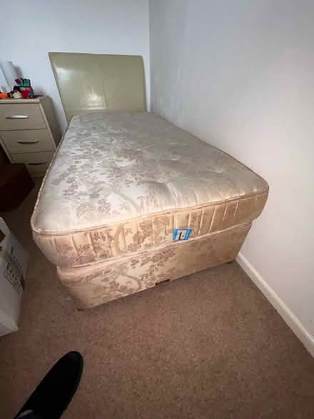 Photo of free Ralyon single bed (Gorleston) #1