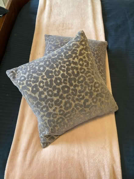 Photo of free Cushions & pillows (Manor Park E12 6D) #2