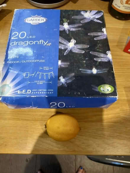 Photo of free Dragonfly lights (Roundhill area brighton) #1