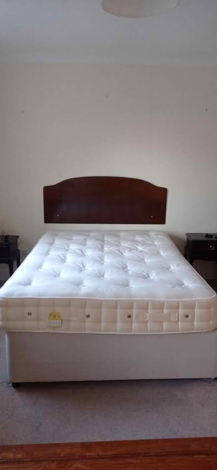 Photo of free Double bed and Headboard (Petersfield) #1