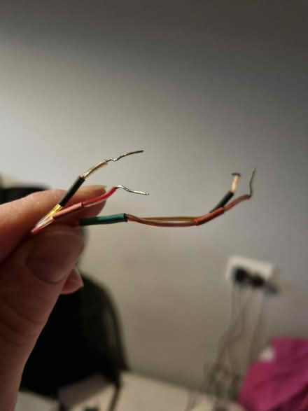 Photo of free Wire (SE20) #3