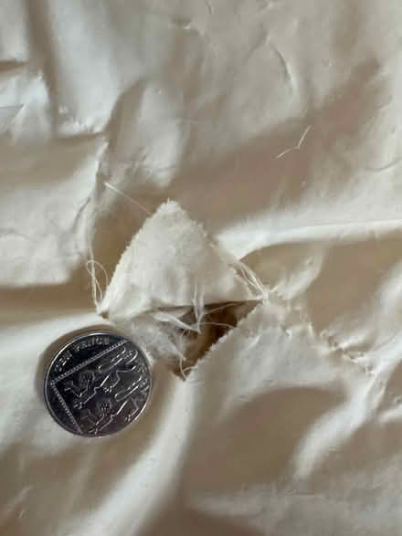 Photo of free Double Feather duvet - used but still got life left in it (Kennington SE5) #3