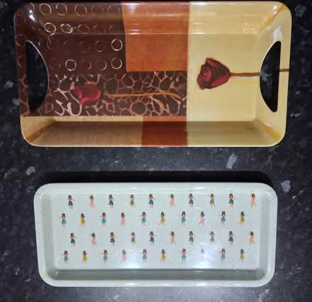 Photo of free 2 x trays (Titchfield Common PO14) #1