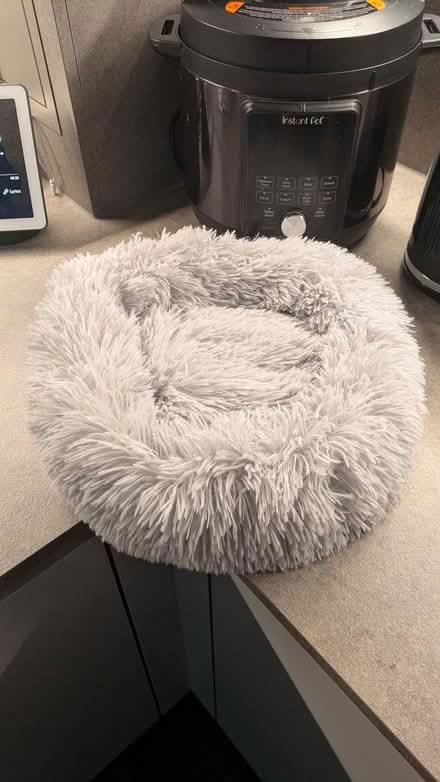 Photo of free Cat bed - almost new (W3) #1