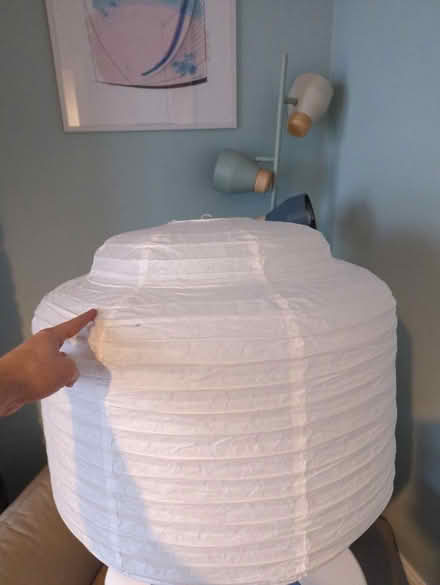 Photo of free Massive Habitat paper light shade (BN1 Brighton) #1