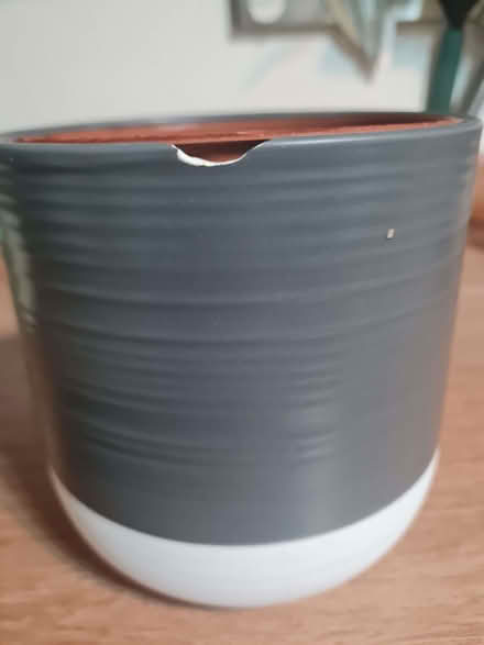 Photo of free Small plant pot (Marsh LA1) #1