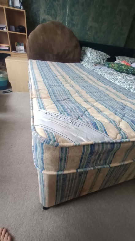 Photo of free Single Bed with rollaway bed. (Southport PR8) #1