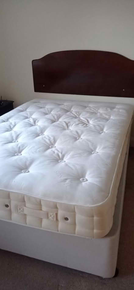 Photo of free Double bed and Headboard (Petersfield) #2