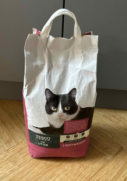 Photo of free 5 x Bags Tesco Cat Litter (Lodge Moor S10) #1