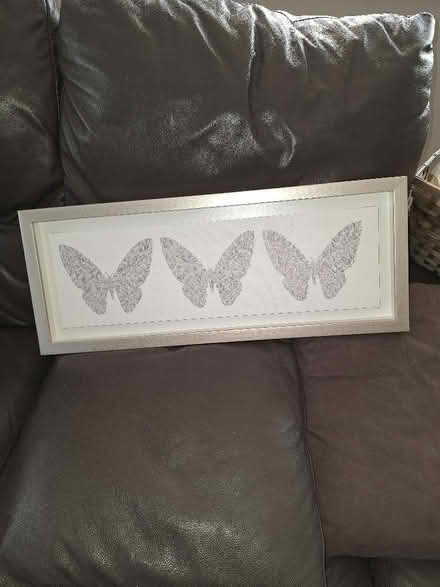 Photo of free Butterfly canvas (Malvern Link WR14) #1