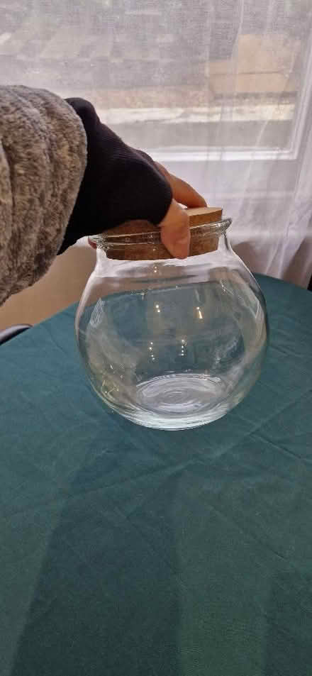 Photo of free Vase (Wandsworth Common SW12) #1