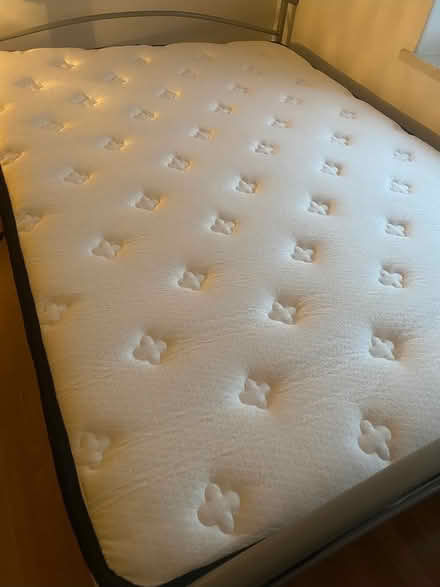 Photo of free moving (Hammersmith) #1