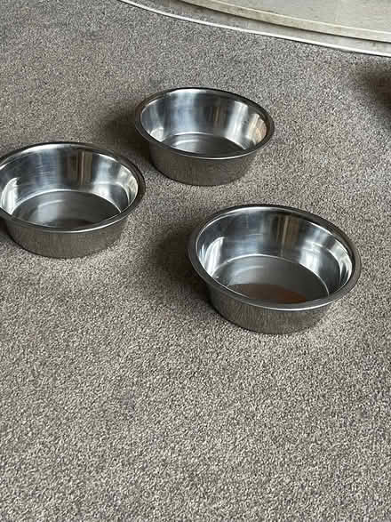 Photo of free Pet Food/Water Bowls (DE23 Littleover) #2