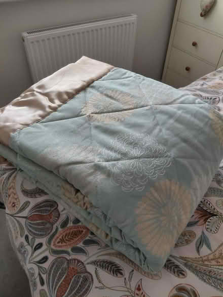 Photo of free Bed cover (Southwater RH13) #1