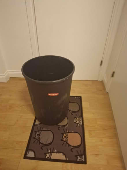 Photo of free Black Bin / Container - No Lid (Darlington DL1) #1