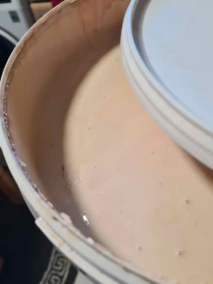 Photo of free 10L Tub of Magnolia Matt Emulsion (Longden SY5) #3