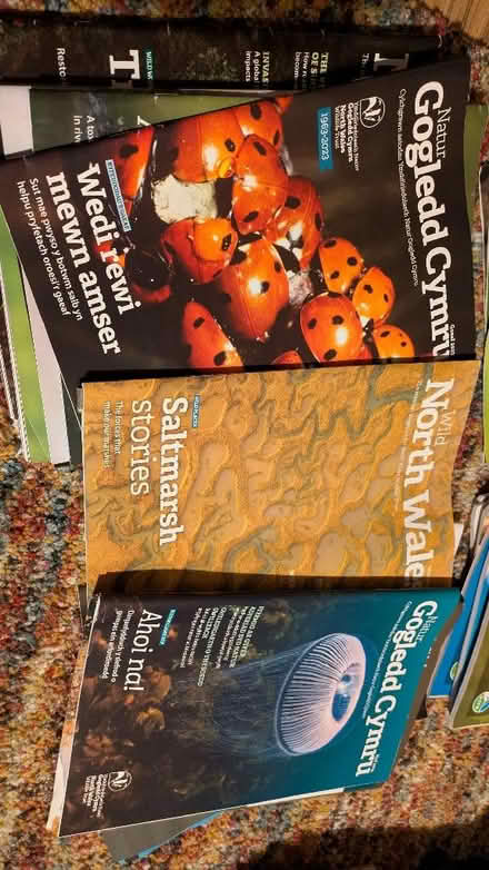 Photo of free Wildlife magazines (Menai Bridge LL59) #2
