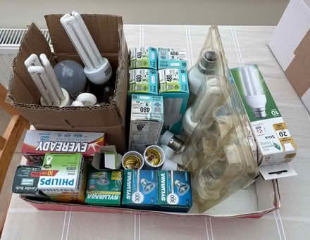 Photo of free Light Bulbs (Kennington OX1) #2