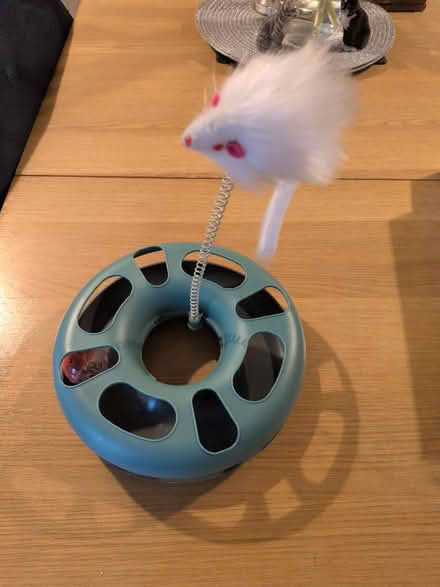 Photo of free Cat toy (Endmoor LA8) #1