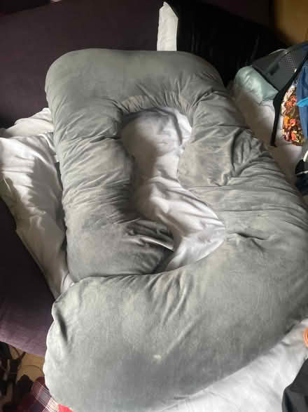 Photo of free Pregnancy support pillow (Broad Green L14) #1