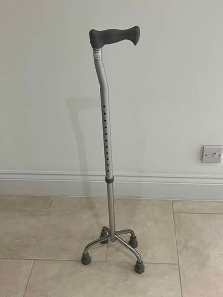 Photo of free Walking Stick (West Common AL5) #1