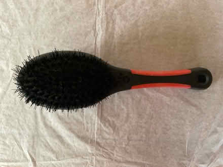 Photo of free Double side cat / dog brush (Covingham SN3) #2