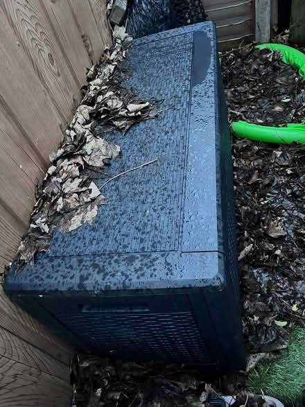 Photo of free Garden storage (Palmerston road, E17) #2