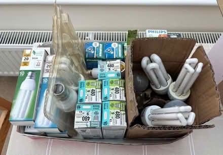 Photo of free Light Bulbs (Kennington OX1) #1