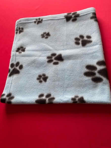 Photo of free Animal blanket (Stanton Harcourt OX29) #2