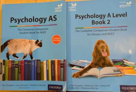 Photo of free Psychology AS and A Level revision books (Treuddyn CH7) #1