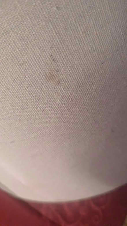 Photo of free Large Drum Lampshade (RG24 Old Basing) #2