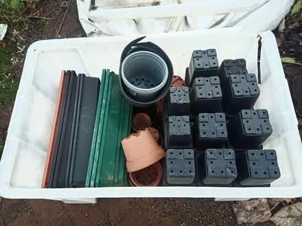 Photo of free plant pots and trays (Drylaw EH4) #1