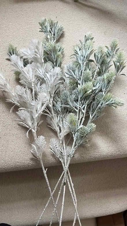 Photo of free Faux flowers (Radlett WD7) #1