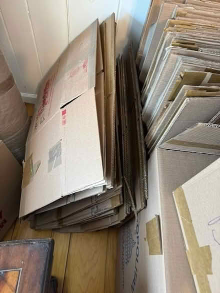 Photo of free Loads of moving boxes and paper (Brewster) #4