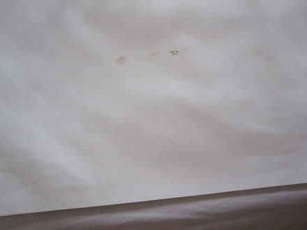 Photo of free Thermal Curtain Lining - new (Saltford BS31) #1