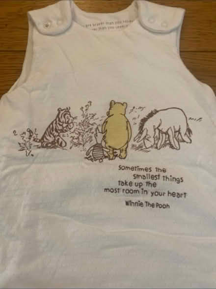 Photo of free Winnie the Pooh sleep sack (Cheshunt En8) #2